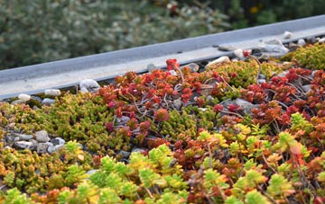 the cost of No Mans Heath green roof installation